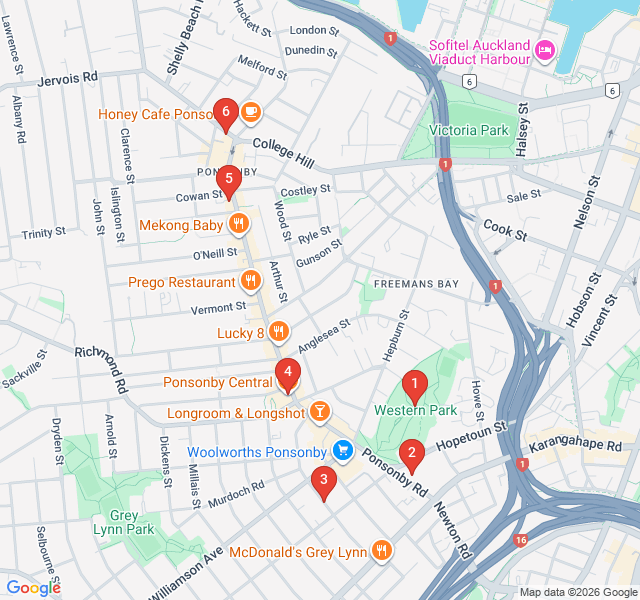 Route map for Ponsonby's Hidden Lanes and High Fashion