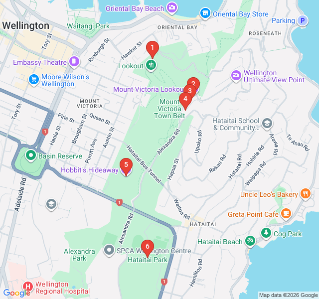 Route map for Mount Victoria Summit & Forest Path