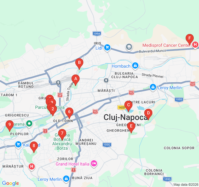 Route map for Citadel Heights: Panoramic Cluj Sunset