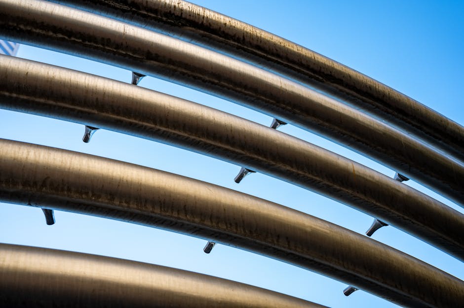 Convicts and Columns: Colonial Brisbane