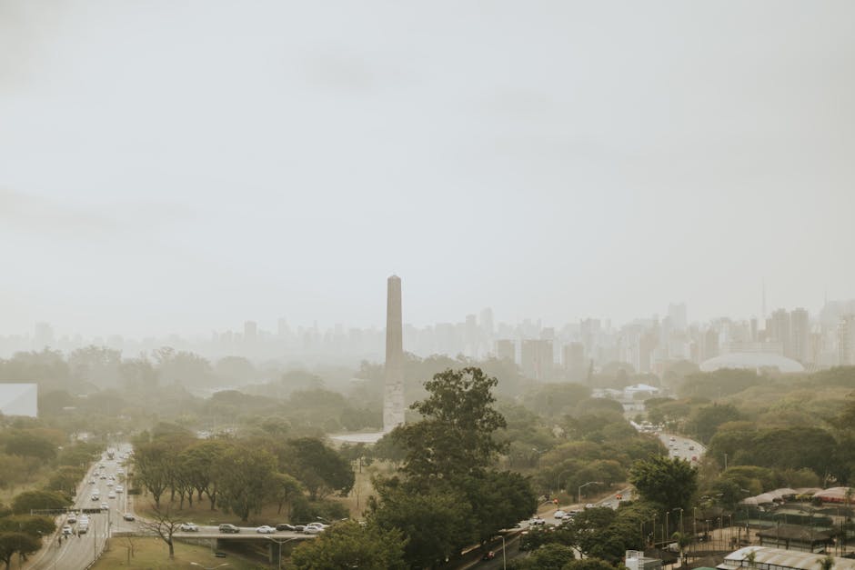 The Coffee Barons of Higienópolis