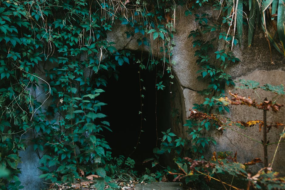 Hidden Courtyards and Secret Passages