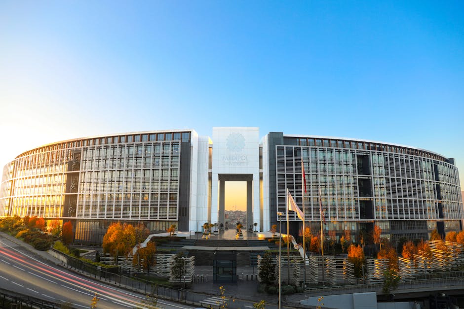 Limassol's Scholarly Side: The University Trail