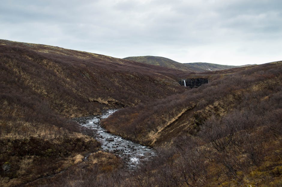 Laugardalur Valley: The Green Heart