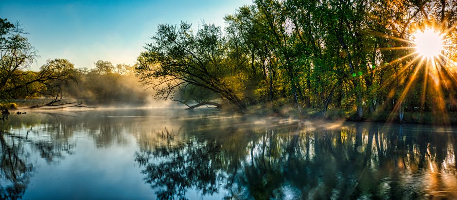 Green Valleys: The Petrusse Nature Escape