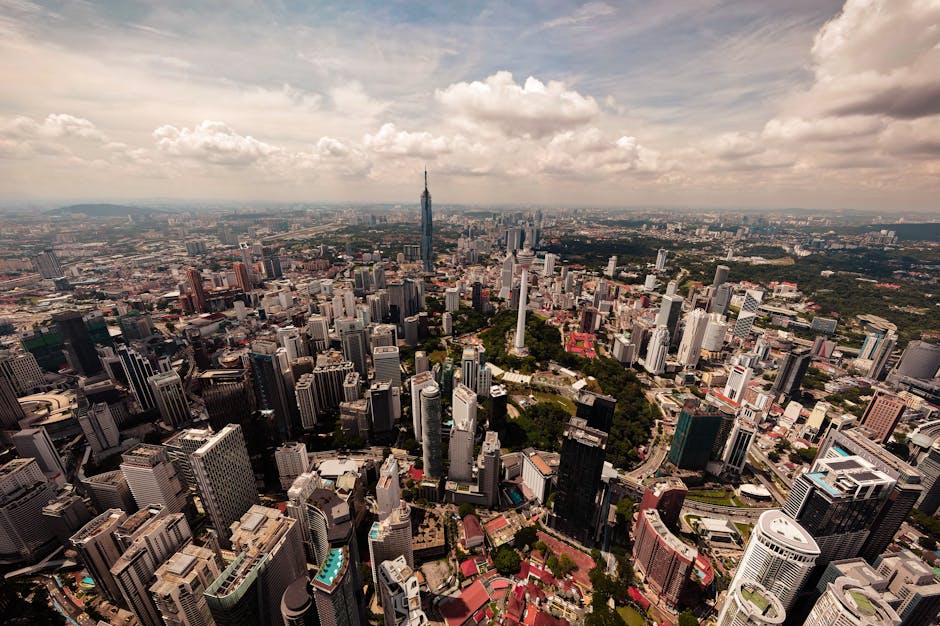 Art in the Concrete Jungle