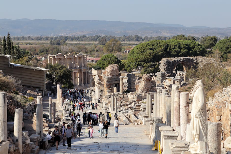 The Path of Peace: Exploring Harmony Street