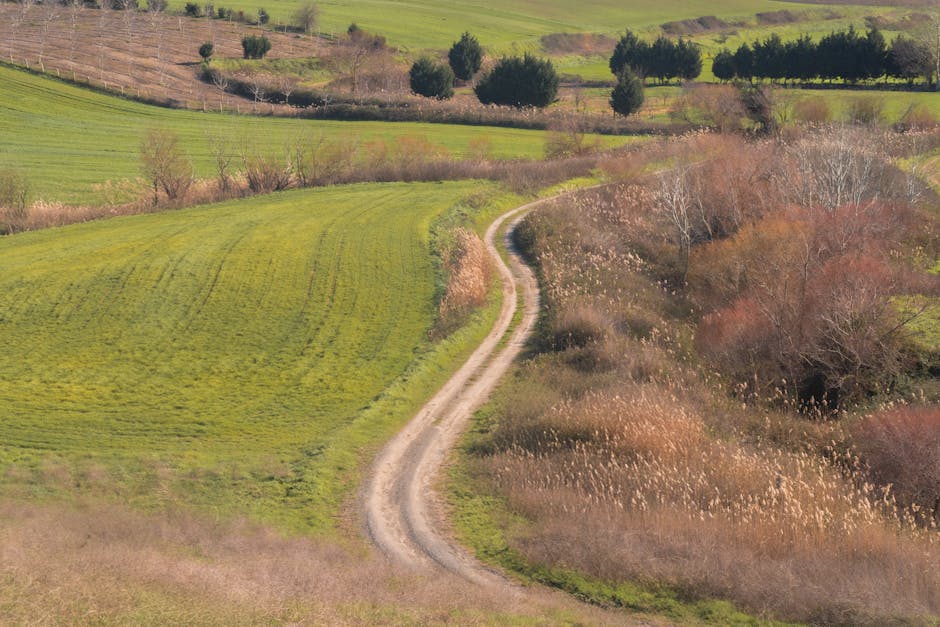 Garden Terraces and Harbour Horizons