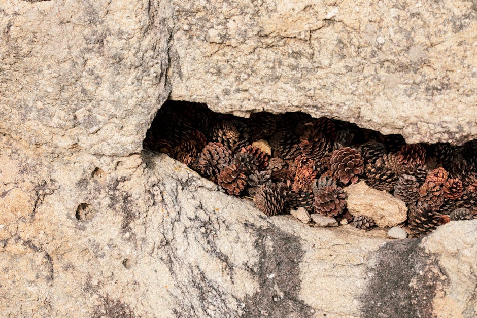 Hidden Courtyards and Cobblestones