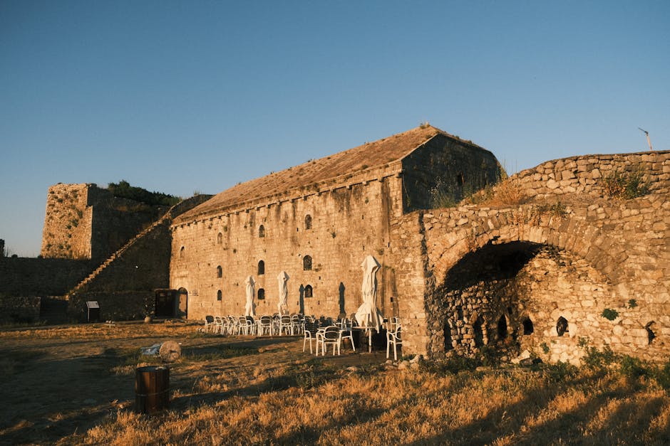 Purrs and Plazas: The Cats of Kotor