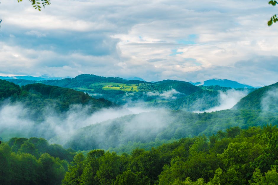 Green Serenity: The Botanical Garden Escape