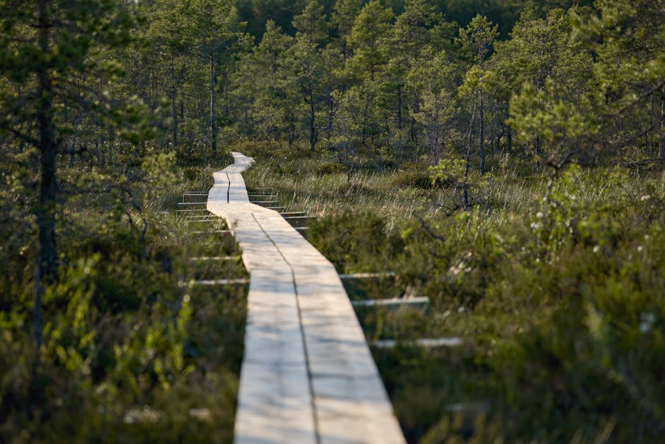 Sub Arini Green Escape: Forest & Flowers