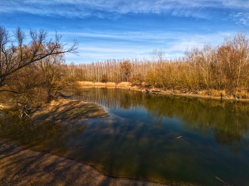 Danube Dreams: The Riverside Promenade