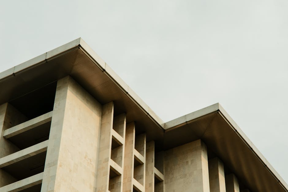 Modernist Novi Sad: Concrete and Contrast