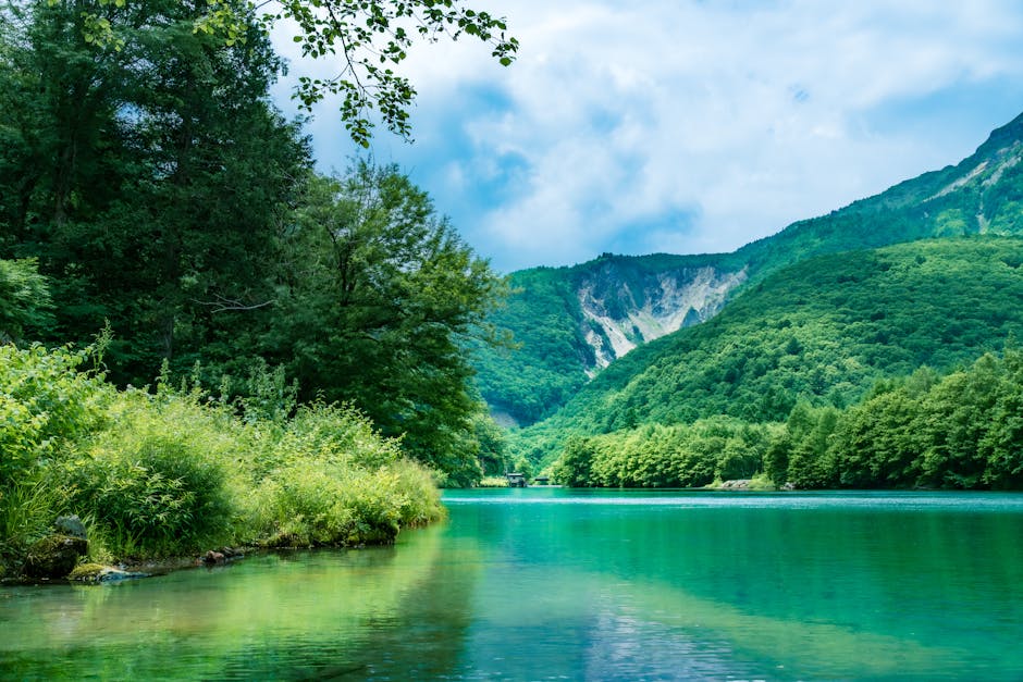 Green Escape: The Parks of Novi Sad