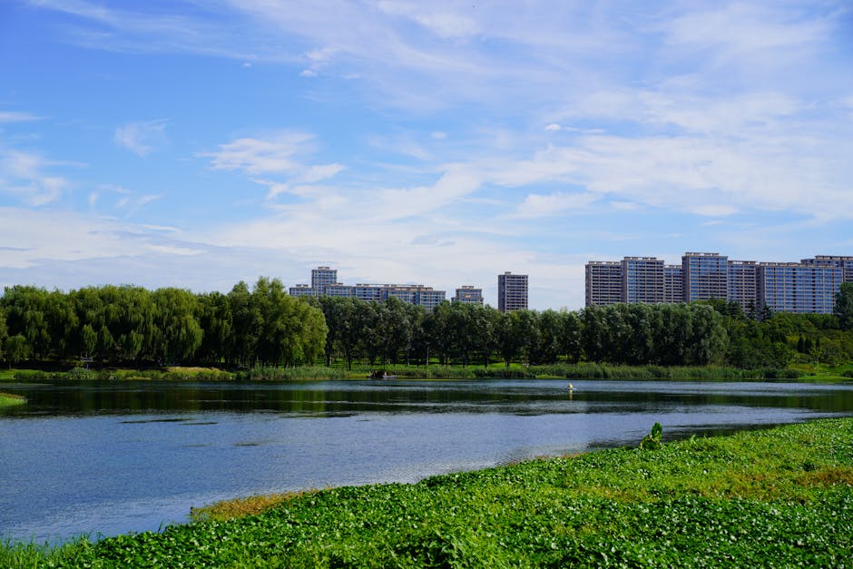 Tivoli Park: The City’s Green Lung