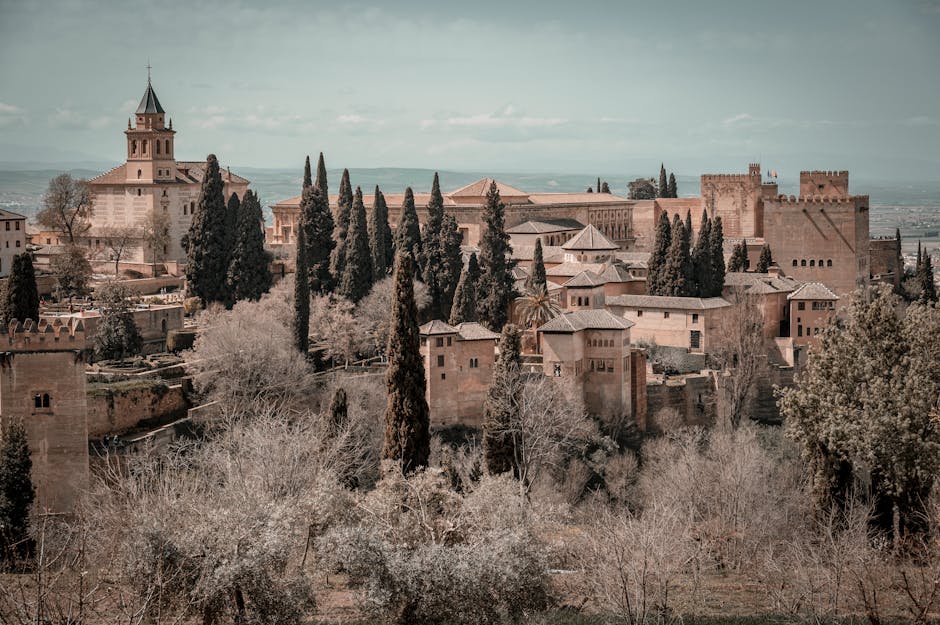 Wilderness Above the Alhambra