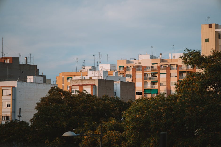 Benimaclet: The Village Within the City