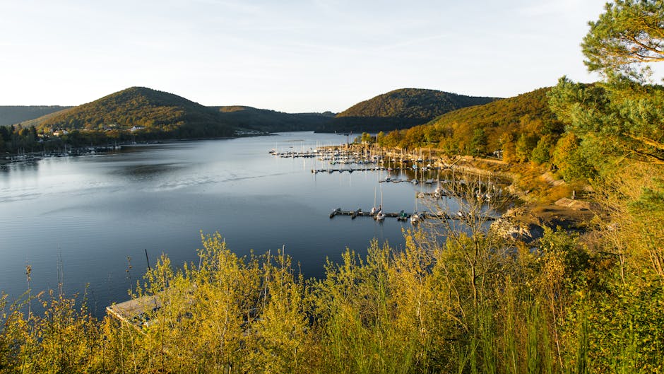 Skyline and Shoreline: Lady Bird Lake Hike and Bike