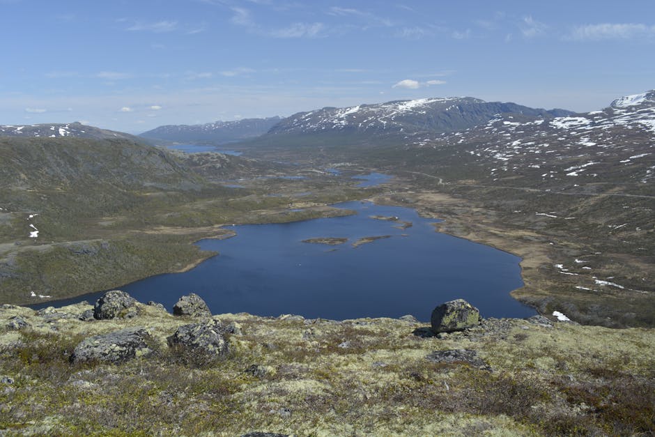 Springs and Statues: Zilker Park Exploration