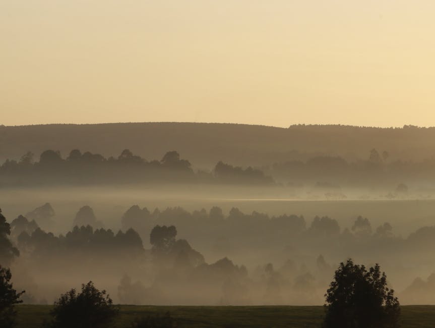 Manoa Valley Mist: Gardens & Intellectual Roots