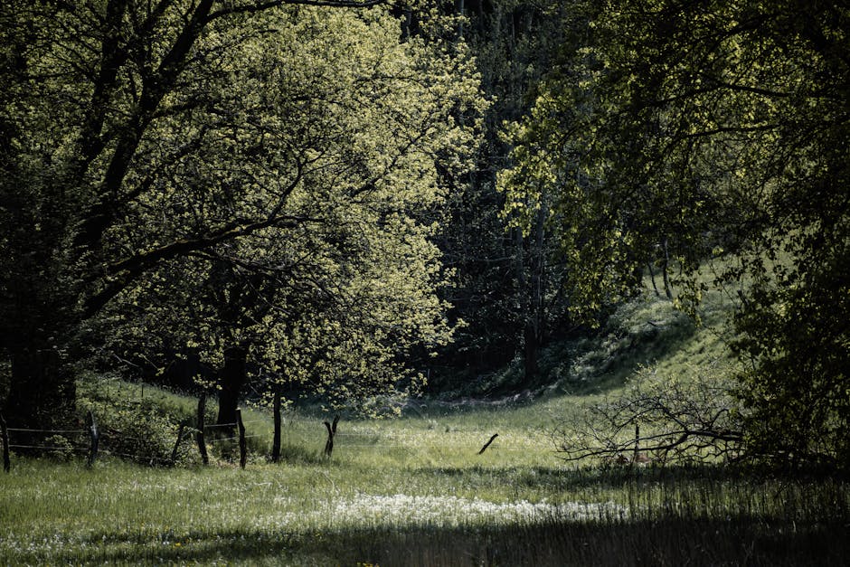La Jolla Coastline & Sea Lion Sands