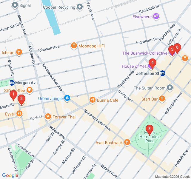 Route map for Bushwick Street Art Safari
